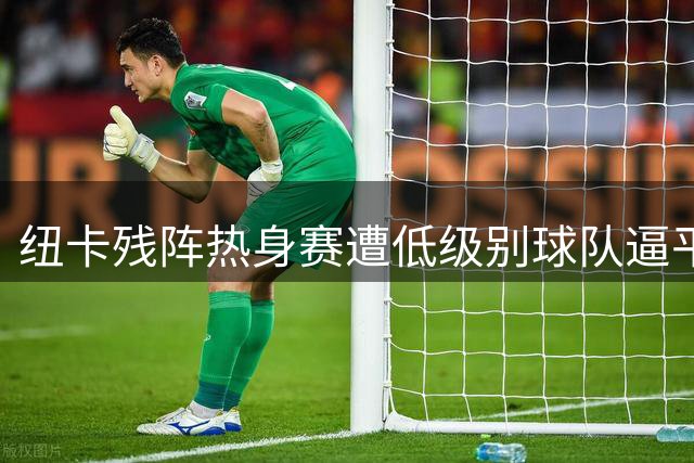 纽卡残阵热身赛遭低级别球队逼平 25英镑门票引发球迷热议